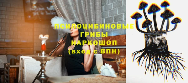 соль ск Верхний Тагил