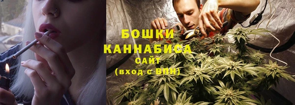 соль ск Верхний Тагил